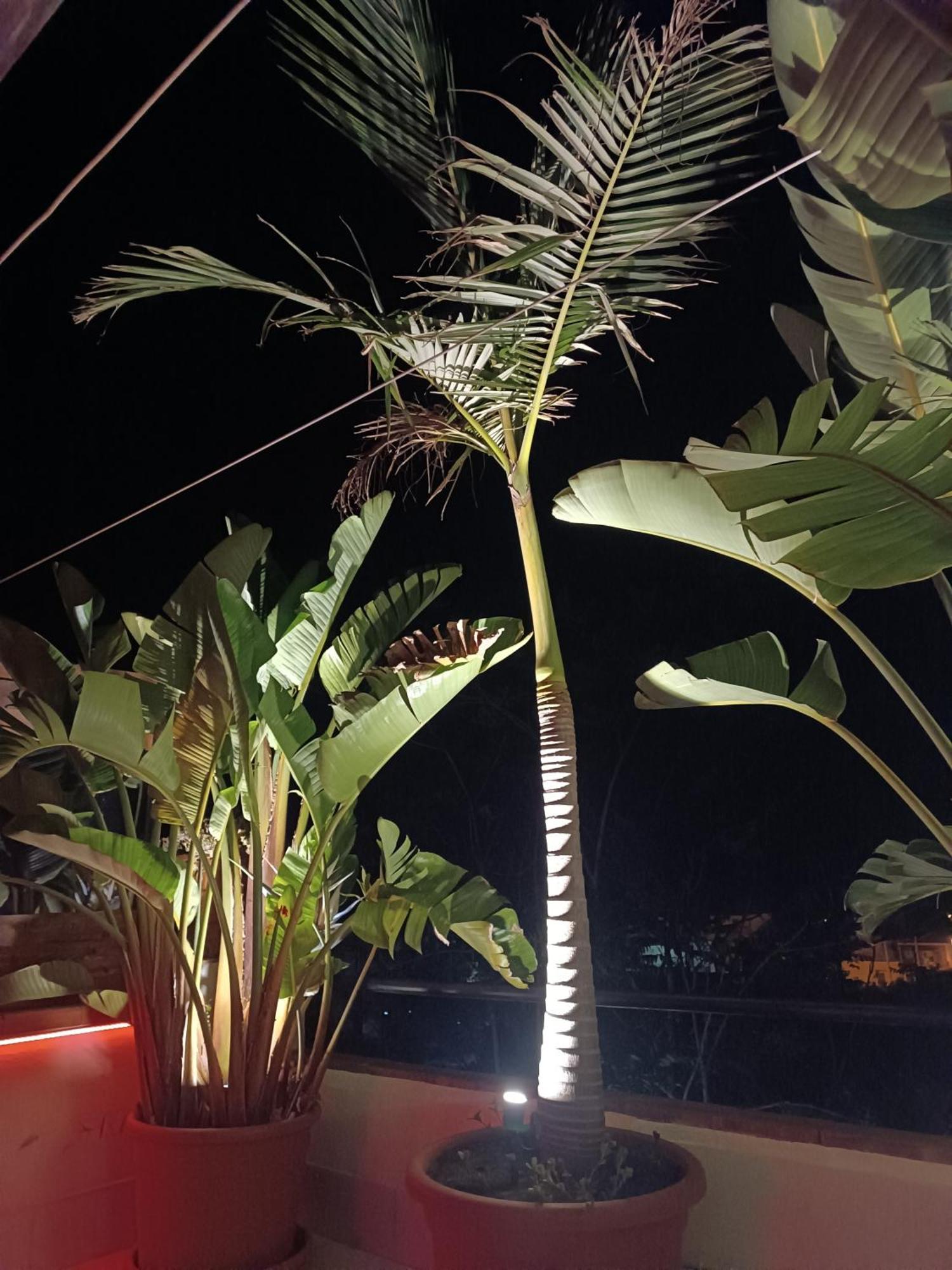 Lidia Bed & Breakfast