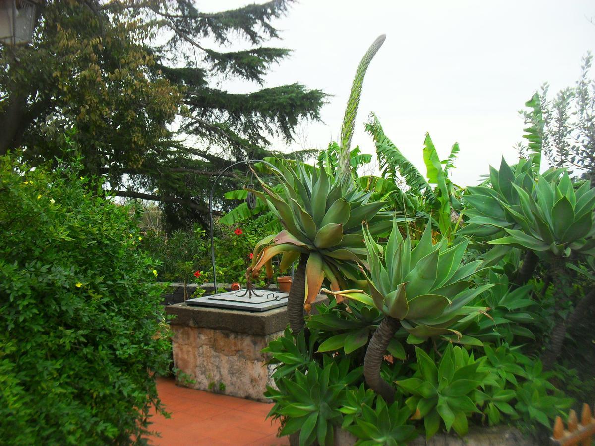 Lidia 3*