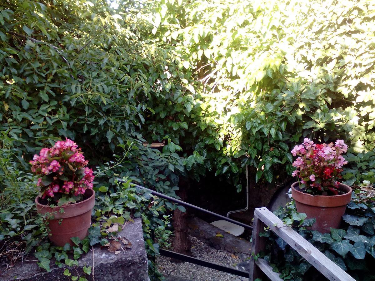 Lidia Bed & Breakfast 3*