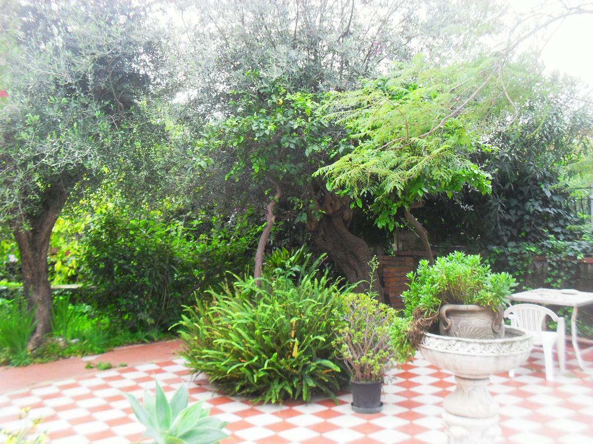Lidia 3*